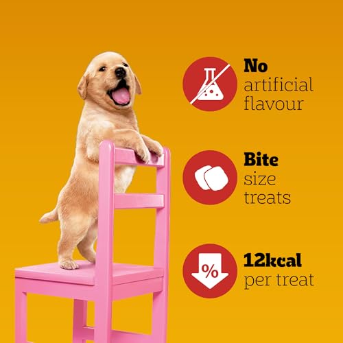 Image of Pedigree Tasty Minis Puppy (4+ Months) Dog Treats, Chicken Flavour, 125 g, Contains Omega 3, Vitamin E & Calcium, Supports Strong Bones & Teeth