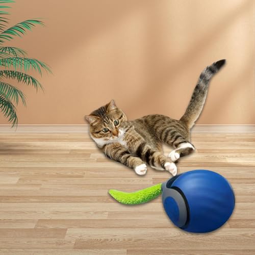 Gralara Bola de brinquedo interativa para gatos, brinquedo automático para gatos, bola de rolamento