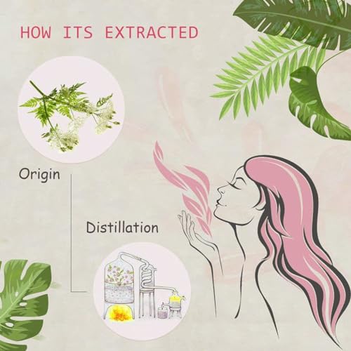 Aceite Esencial de Mirra 100% Puro Orgánico 2x10ML miniatura 2