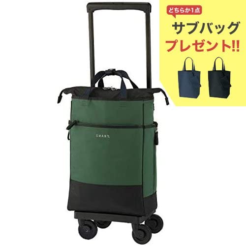 D342 レルタL21 グリーンスワニーショッピングカート新品
