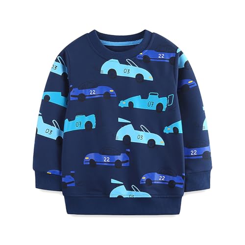 Boys Sweatshirts Casual Sweatshirts Cotton Sweatshirts Long Sleeve T-shirts Crew Neck Cartoon Tops for Boys-281