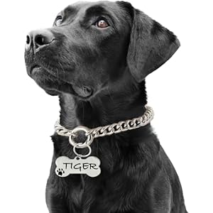 PAWPRO HANDMADE Personalized Choke Chain Collar With Custom Name Tag Id For Large Medium Dog And Small Puppy With Customizable Pet Id Tag(Medium(20-24 Inches), Silver)