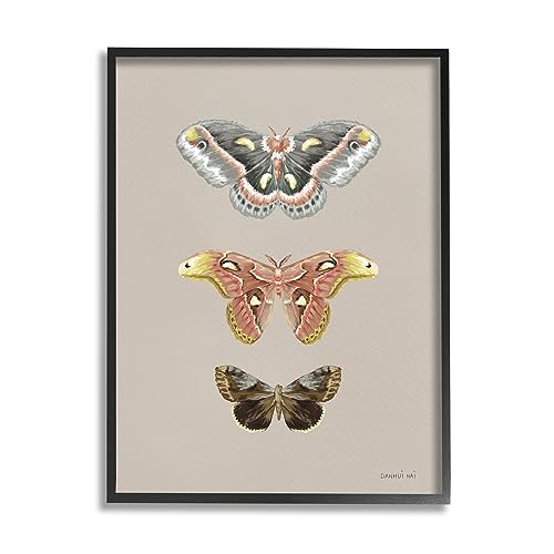 Image of 'Vintage Moth Specimens'| Framed Giclee Art | Stupell Industries | Black, 24 x 30 Inches, Easy to Hang and Sturdy, Made in USA, by Danhui Nai