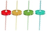 Set of Four (4) Regular Mouth Mason Jar Straw Lids with Straws (Solid)