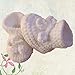 Crochet Baby Booties Knitted Tie Up Bootees Boy Girl Blue Pink White 6-12 Months (Model 1)