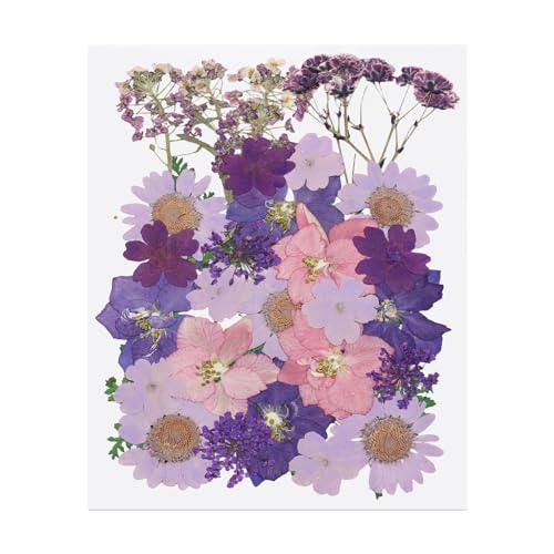 Flores secas prensadas para manualidades 34 piezas miniatura 1