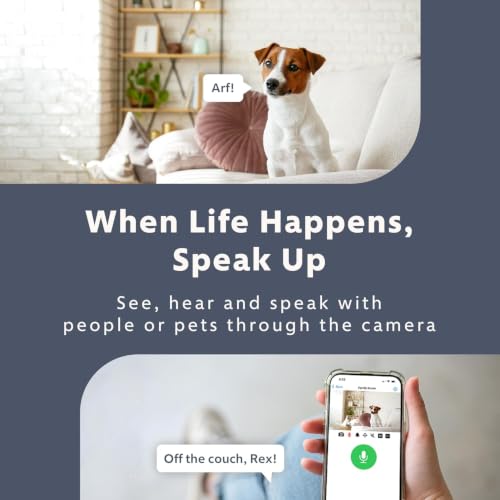 Swann EVO 2K Indoor Wi-Fi Security Camera: 2K HD Video, Compact Plug-in, Sound/Motion/pet/Person Detection, Live View, Night Vision, 2-Way Talk & Siren, Baby Monitor, Local/Cloud Storage, Easy Setup - image 4