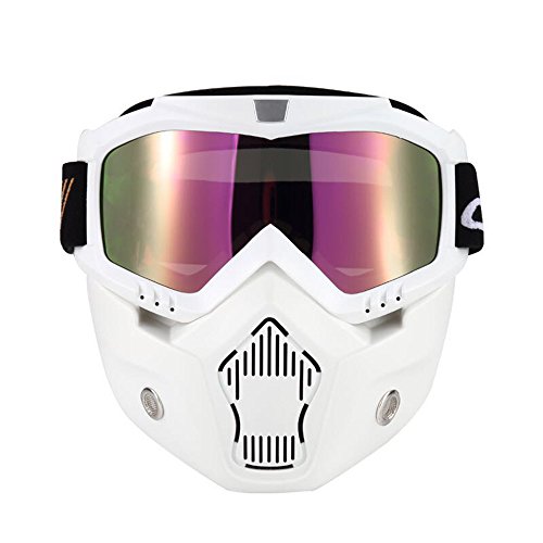 Top 10 Best Snow Goggles for Small Faces of 2021 Review VK Perfect
