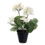  Artificielles.com - Pot de géranium artificiel, 5 têtes, H 31 cm, D 17 cm Crème - couleur: Crème