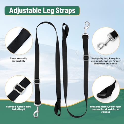 Image of Horse Turnout Blanket | Medium Weight Horse Blanket with 1200D 250g Cotton Filling | Detachable Neck Cover & Belly Wrap (72in /135cm)