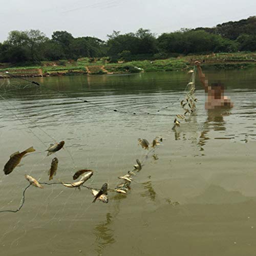 Redes de Pesca Profundidad de 1.5m Red de Pesca Legnth 22m Network de Pesca 3 Capas Monofilament Nylon Nets 20 mm-70 mm Herramienta de Pescado al Aire Libre Red De Flotador(Mesh 30mmx30mm)