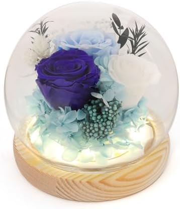 Preserved Flowers Eternal Roses in Glass Dome - Perfect Valentine's Day Gifts for Her, Girlfriend, or Mom - Elegant Home Decor & Bedroom Decor