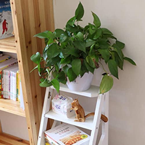 Transformación plegable silla escalera madera multifunción taburete pasos 5
