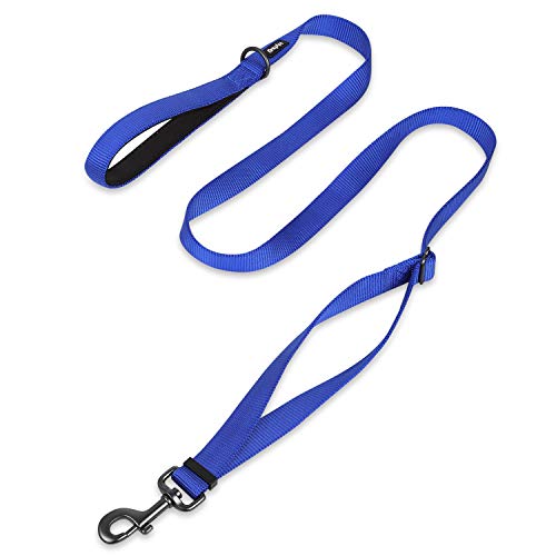 Hyhug Pets Premium Adjustable Leash With Heavy Duty Nylon And Super Soft Neoprene Lined Handle For Medium Small Dogs. (Small Adjustable 6 Feet, Royal Blue) #TOP1