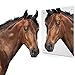 Sukh Acrylic Horse Mirror - Safe Stall Mirrors Sheet Horse Toy Hanging Pony Calming Non Glass Shatterproof Horse Toys for Stable Barn Stall Toy Entertainment (16.92 x 12.99 Inch)