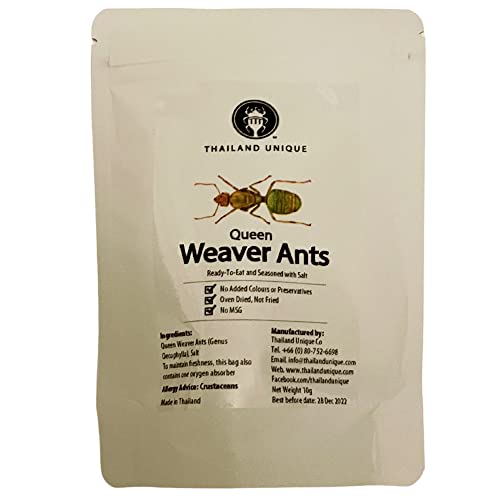 Thailand Unique Edible Insects (Queen Weaver Ants, Single Pack)