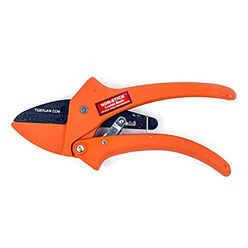 Tiger Jaw P1 Hand Pruner Lightweight Ratcheting Hand Pruner, Small to Medium Hands, Cuts Up to 1/2 Inch Flowers and Stems