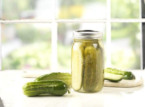 Ball® Regular Mouth Pint Jars with Lids and Bands- Set of 12 (by Jarden Home Brands)