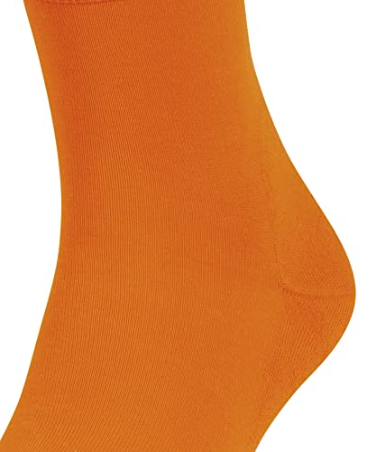 Image of FALKE Women's ClimaWool Socks, 1 Pair