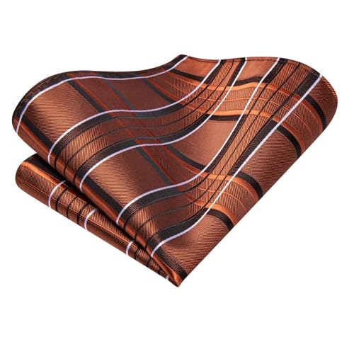 Image of Dubulle Silk Ties Set for Men Formal Paisley Striped Necktie Pocket Square Cufflinks 3PCS Sets Wedding Business Party