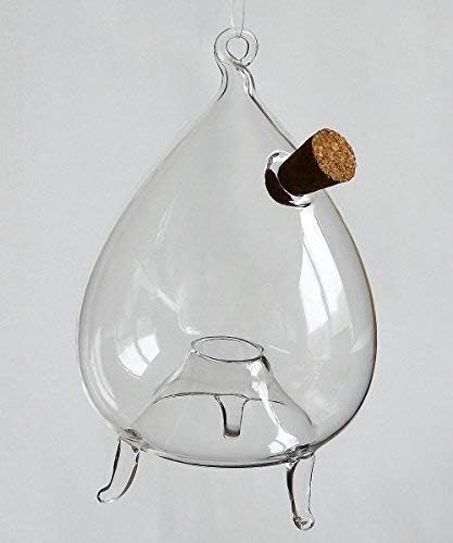 Fly Trap Insect and Wasp Trap to Hang or Stand Clear Glass