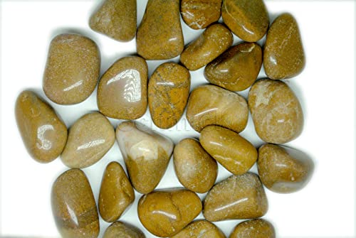 Image of Pebbles for Decoration - Pebbles for Plants Pots - Decorative Stones and Pebbles (1.9 Kgs, Brown Pebbles)