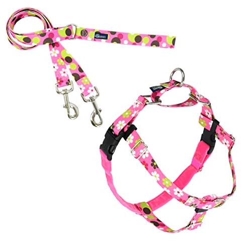 2 Hounds Design Freedom No Pull Dog Harness and Leash | Adjustable Gentle Comfortable Control for Easy Dog Walking |for Small Medium and Large Dogs | EarthStyle Designs | Made in USA Cover