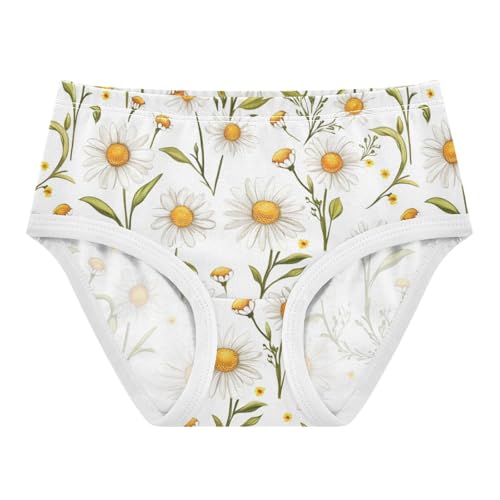 ZZKKO Summer Daisies Floral Girls Underwear Toddler Panties for Girls Comfort Brief Size 2-8T