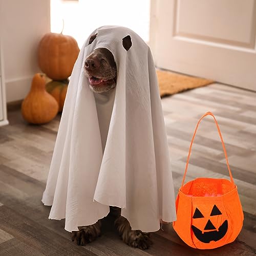 Disfraz de Fantasma para Perros Sweetude Halloween Talla Large miniatura 5