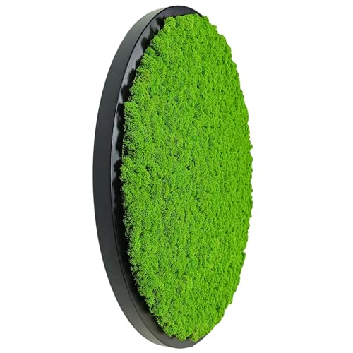 Tableau en mousse d'Islande avec cadre rond en bois noir de 30 cm de diamètre pour mur