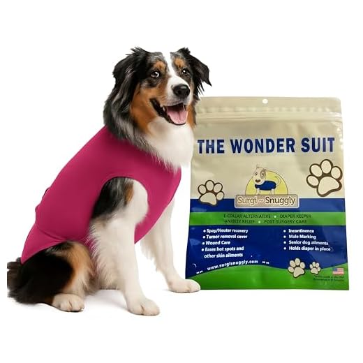 SurgiSnuggly Dog Cone Bodysuit