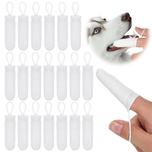 Alrhso 20 wuV p \tg }CNt@Co[ ybguV 􂦂  L  |