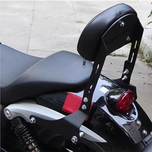 Dossier passager Keeway V302c avec coussin de protection premium