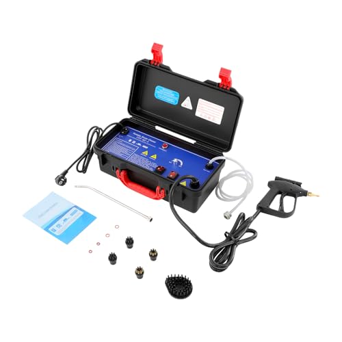 Limpiador a vapor de mano, 3000 W, presión de 2-3,5 bar, vapor húmedo y seco, con 5 cepillos y linterna LED, para cocina, baño, coche, 220 V