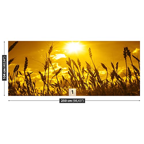 Papier peint moderne haut de gamme champ de blé 250x104cm Tulup design mural - 5