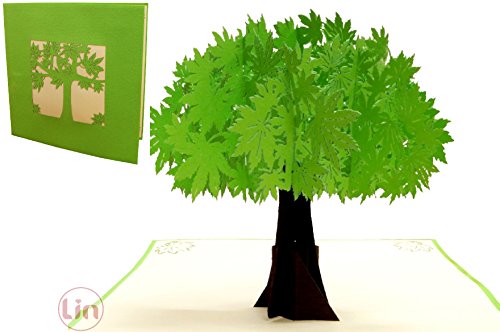 LIN17607, Pop Up Karte Baum, Pop Up Karte Natur, POP UP Karten Geburtstag, Pop Up Geburtstagskarte, Grußkarten Glückwunschkarten Gute Besserung Geburtstagskarten Muttertagskarten Baum, N718