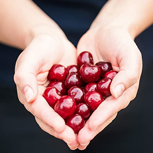 Foto von BROWIN® Kirschentkerner mit Behälter für Kerne | | Effizientes Entkernen von Kirschen | Praktisches Küchenwerkzeug mit Auffangbehälter