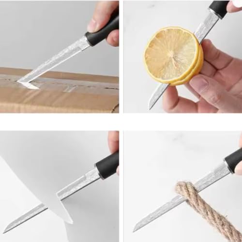 Image of Multifunctional Fruit Knife, Paring Knife Stainless Steel Professional Kitchen Knives with Ergonomic Black Handle for Fine Cutting Tasks (Pack of 1, Black)