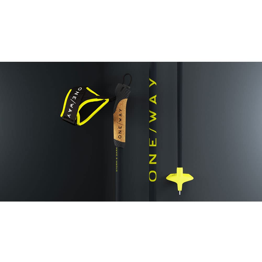 Fischer Langlauf Skistöcke OneWay Storm 6 Dark 30% Carbon Langlaufstöcke (170 cm)