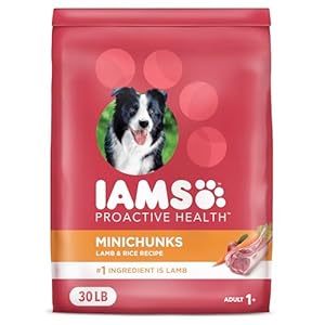 IAMS Proactive Health Minichunks Adult Dry Dog Food with Lamb & Rice, 30 lb. Bag