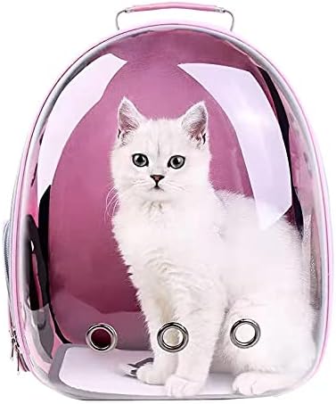 cat bubble backpack amazon