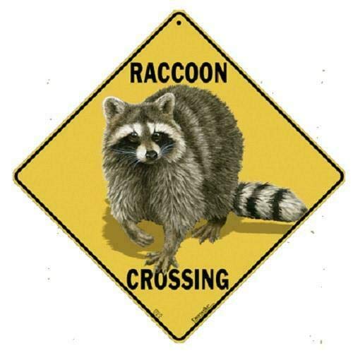 Yelenacca Raccoon Metal Crossing Sign Plaques and Signs Outdoor Funny Metal Sign 12X12 inch