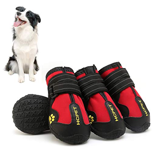 Chaussures pour chiens pour éviter les blessures aux pattes et les glissades