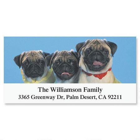 Pug Personalized Return Address Labels- Set of 144, Large Self-Adhesive, Flat-Sheet Labels, By Colorful Images
