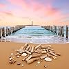 20 Pcs Natural Driftwood Pieces - Mixed-Size Beach Decor for DIY Crafts | Rustic Wood Slices and Branches for Vase Fillers, Photo Frames, Craft Supplies, Unfinished Natural Wood Crafts #2