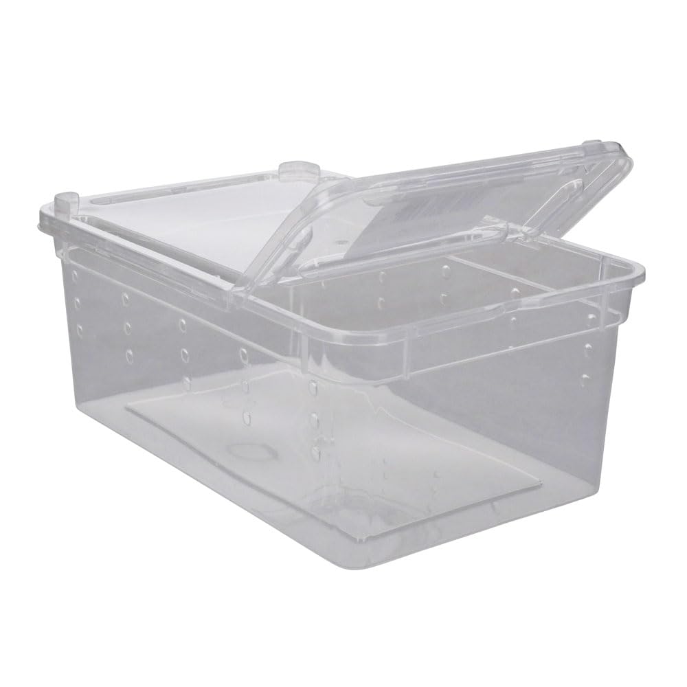 Reptile or Insect Breeding Box, 19 cm x 12.5 cm x 7.5 cm