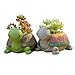 Youfui Turtle Plant Pot Flowerpot Animal Garden Pots Resin Succulent Pots Planter Bonsai Plant Holder for Home Office Desk Mini Ornament