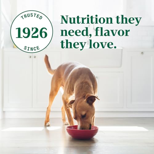 Nutro Ultra Filets in Gravy Wet Dog Food, Tender Beef, 3.5 oz, 24 Count - image 8