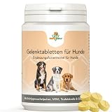 Mahu Natur Gelenktabletten Hund 100 Stück - Grünlippmuschelpulver Hund I MSM Hund I Teufelskralle Hund UVM - Hunde Gelenktabletten Für Mehr Vitalität Und Natürliches Wohlbefinden