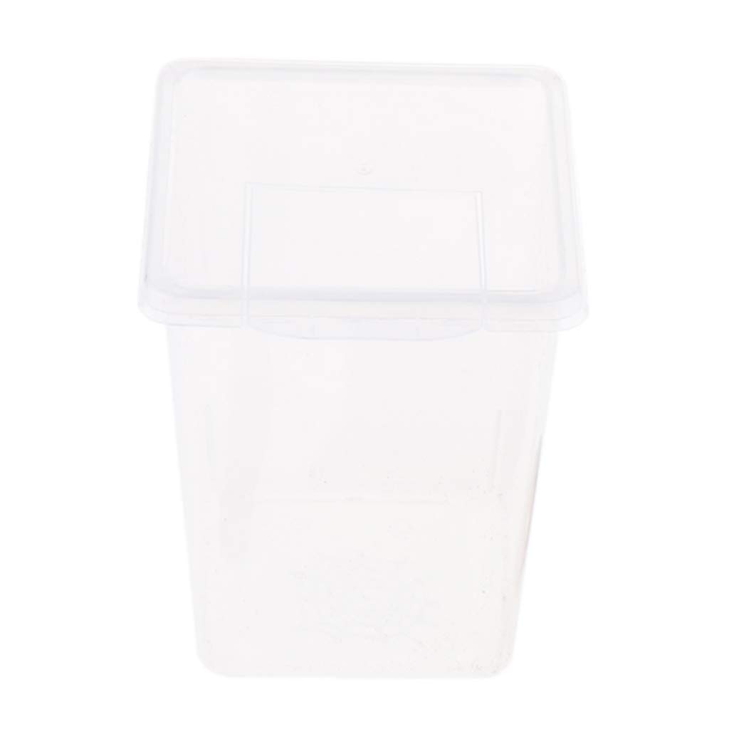 飼育ケ-ス Pet'sOne 観察しやすい飼育ケース 特大 | 昆虫用品・昆虫グッズ